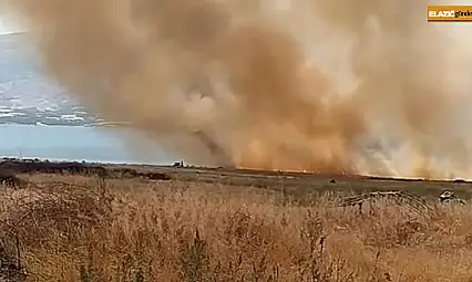 Elazığ'da otluk alanda çıkan yangın korkuttu