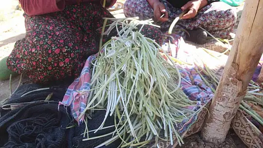 2 bin 500 rakımlı dağın zirvesinde soğuk su etrafında yetişiyor, yemek ve çökelekleri tatlandırıyor