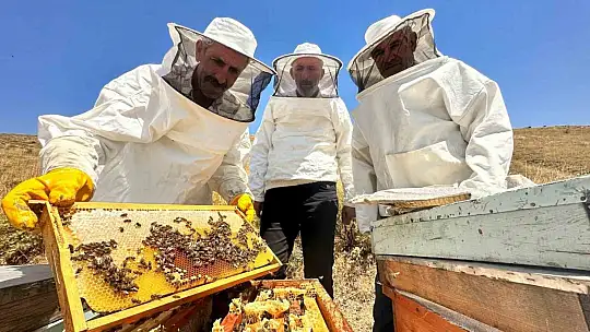 2000 rakımda tescilli geven balının hasadı başladı
