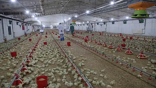 25 yıl basın sektörüne hizmet etti, devletten aldığı destek ile çiftlik kurdu
