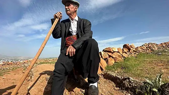 77'lik İsmail dede, 300 ton taş topladığı dağlık araziyi ağaçlarla kapladı