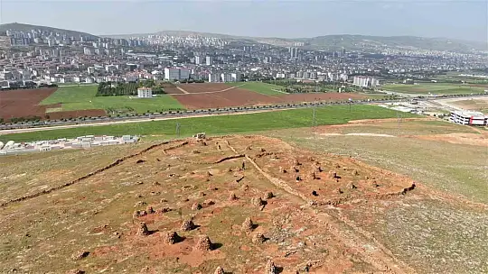 77'lik İsmail dede, 300 ton taş topladığı dağlık araziyi ağaçlarla kapladı