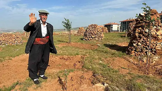 77'lik İsmail dede, 300 ton taş topladığı dağlık araziyi ağaçlarla kapladı