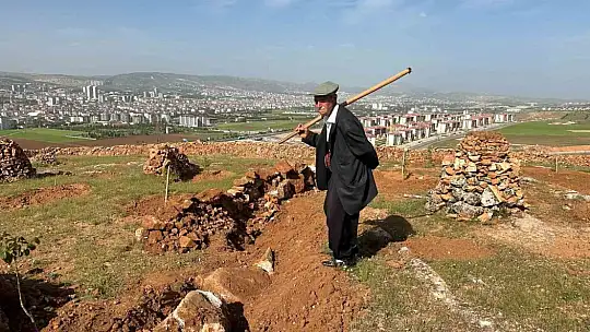 77'lik İsmail dede, 300 ton taş topladığı dağlık araziyi ağaçlarla kapladı