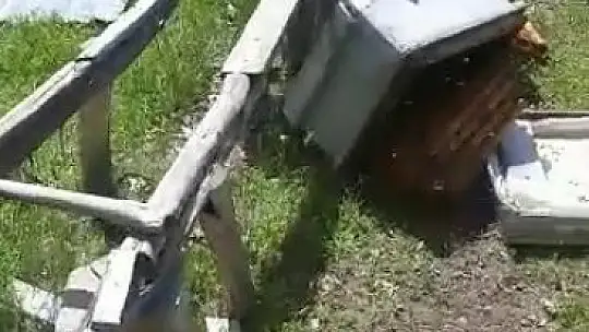 Aç kalan ayı arı kovanlarını parçaladı