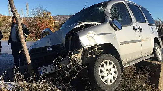 Ağaca ve aydınlatma direğine çarpan hafif ticari araç asılı kaldı: 1 yaralı