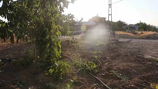 Ağaçları kırıp tarlaya uçtu, tekerleği ise 50 metre uzaklıktaki bahçeye fırladı