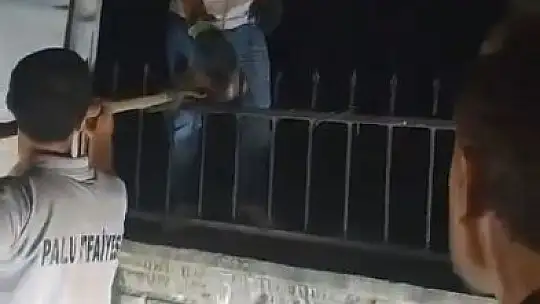 Ağaçtan düşerek demir korkuluklara saplanan sansar kurtarıldı
