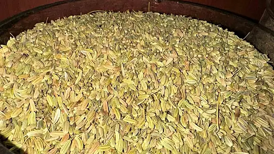 Aktar, gündemden düşmeyen 'rezene' çayının faydalarını anlattı