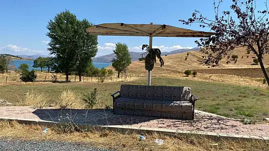 Anayolun kenarındaki kanepeli durağı görenler şaşırıyor