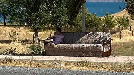 Anayolun kenarındaki kanepeli durağı görenler şaşırıyor