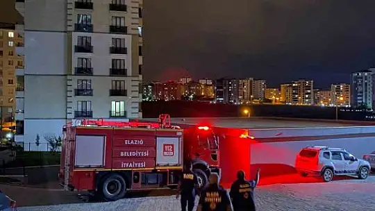 Aracın motoruna giren yılan, ekipler tarafından çıkartıldı