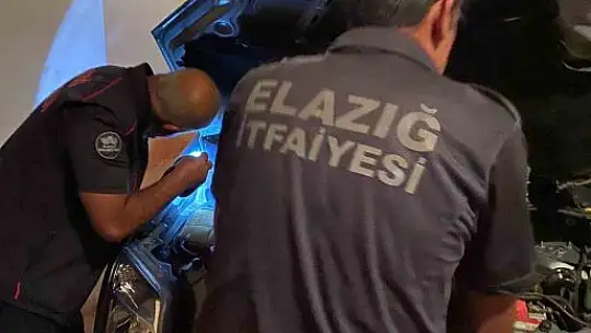 Aracın motoruna giren yılan, ekipler tarafından çıkartıldı