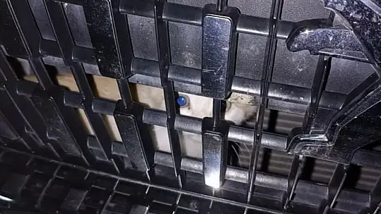 Aracının kaputuna sıkışan kediyi sahiplendi