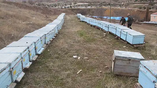 Arıcıların tek umudu bahar aylarının yağışlı geçmesi