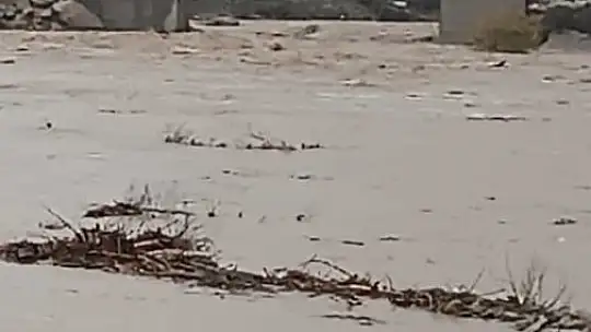 Aşırı yağış sonrası Dipni çayı coştu