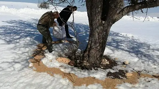 Elazığ'da yaban hayvanları unutulmuyor