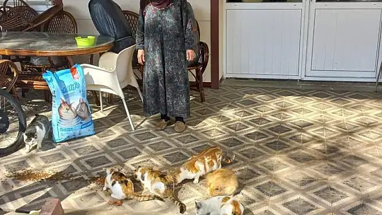 Zahide Nineye İl Özel İdaresi'nden mama desteği