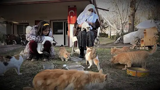 Zahide Nineye İl Özel İdaresi'nden mama desteği