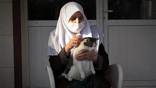 Zahide Nineye İl Özel İdaresi'nden mama desteği