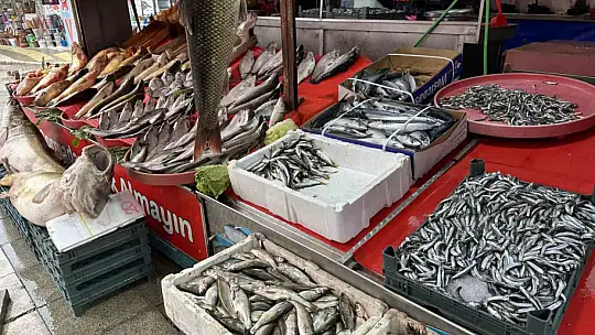 Balıkçı tezgahlarında çeşit arttı, fiyat düştü