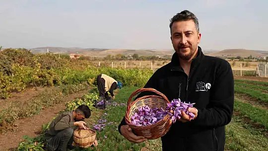 Deneme amaçlı başladı, kilosu 200 bin liraya satılıyor