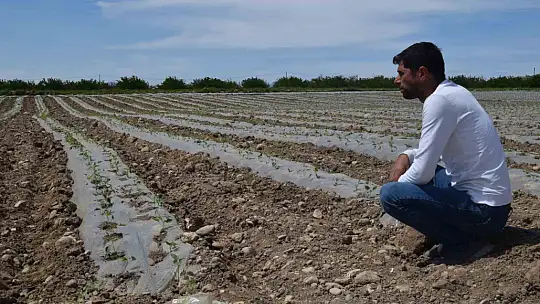 Deprem tarımı da vurdu, mevsimlik işçi bulunamıyor