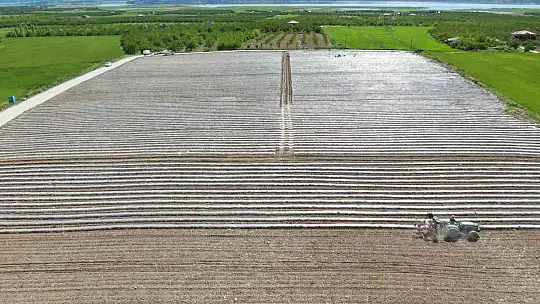 Deprem tarımı da vurdu, mevsimlik işçi bulunamıyor