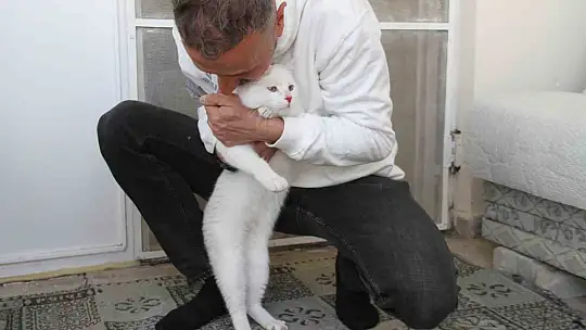 Depremde enkazdan kurtarılan kedi, mikroçip sayesinde sahibine teslim edildi