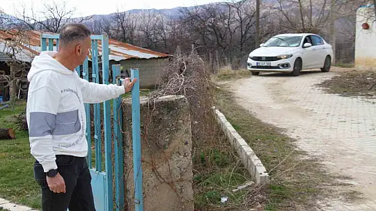 Depremde enkazdan kurtarılan kedi, mikroçip sayesinde sahibine teslim edildi
