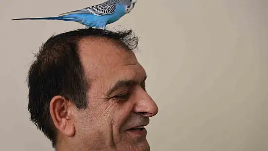 Dinleyen kulaklarına inanamıyor: Muhabbet kuşundan ''Sayın Cumhurbaşkanı Recep Tayyip Erdoğan'' tiradı