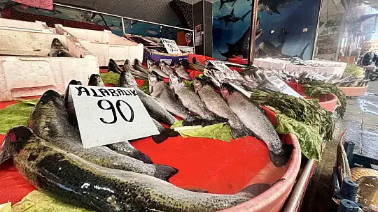 Dinozorlar döneminden günümüze gelen bu balığın havyarı 2 milyon lira