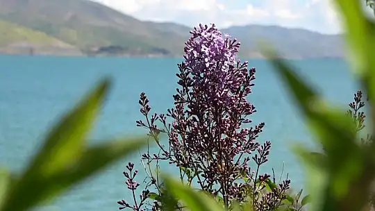 Doğal güzellikleriyle cezbeden Sivrice, misafirlerini bekliyor