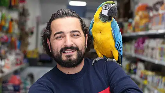 Dünyanın en havalı papağanı güzelliği ve fiyatıyla dikkat çekiyor