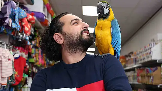 Dünyanın en havalı papağanı güzelliği ve fiyatıyla dikkat çekiyor