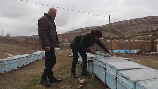 Elazığ Arı Yetiştiricileri Birliği Başkanı Canbay: 'Yağışların ileride arıcılar üzerinde olumlu yansıması olacaktır'