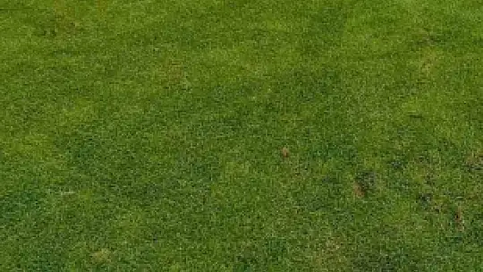 Elazığ Atatürk Stadyumu zemini zarar gördü