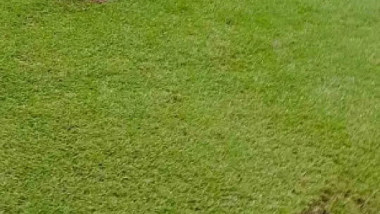 Elazığ Atatürk Stadyumu zemini zarar gördü