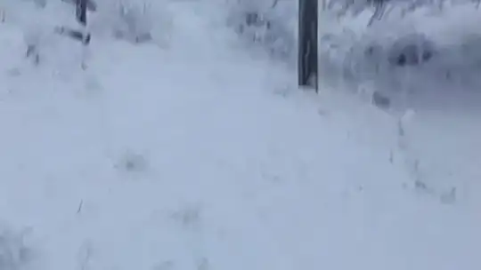 Elazığ Baskil'de kar yağışı etkili oldu