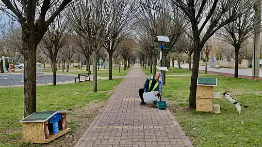 Elazığ Belediyesi, sokak hayvanlarını yalnız bırakmıyor