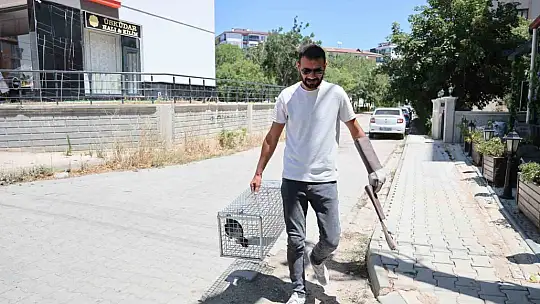 Elazığ'da 'Kübra' diye seslenen papağan bulundu, sahibine ulaşılmaya çalışılıyor