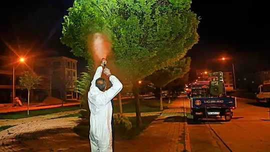 Elazığ'da larvayla mücadele çalışmaları sürüyor