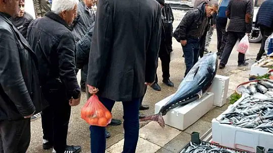 Elazığ'da 1 metre 74 santimetrelik dev orkinos yoğun ilgi gördü