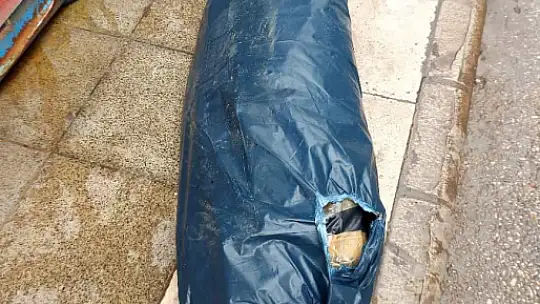 Elazığ'da 1 metre 74 santimetrelik dev orkinos yoğun ilgi gördü