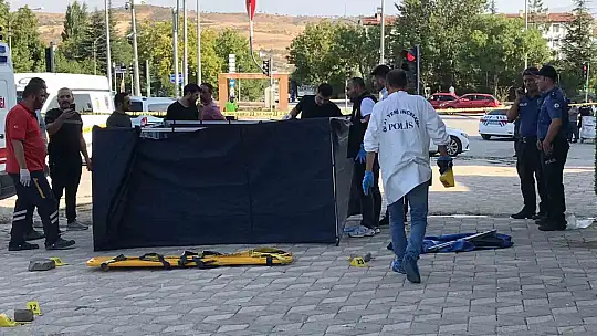 Elazığ'da 2 kişinin öldüğü ambulans cinayetinde 2 tutuklanma