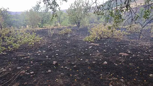 Elazığ'da 200 dönüm alan yangında kül oldu