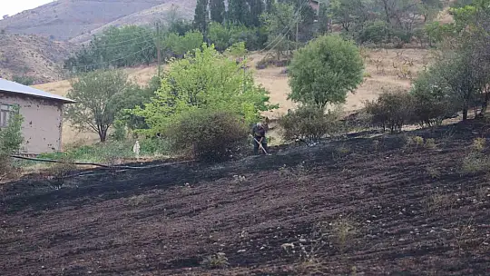 Elazığ'da 200 dönüm alan yangında kül oldu