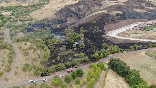 Elazığ'da 200 dönüm alan yangında kül oldu