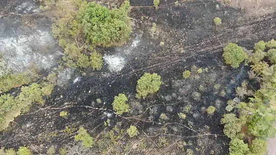 Elazığ'da 200 dönüm alan yangında kül oldu