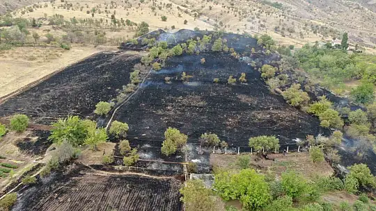 Elazığ'da 200 dönüm alan yangında kül oldu